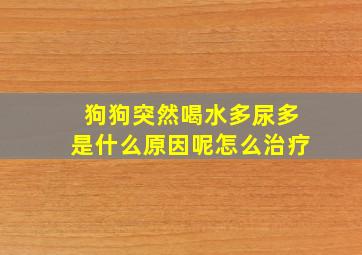 狗狗突然喝水多尿多是什么原因呢怎么治疗