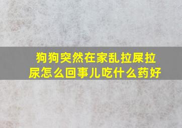 狗狗突然在家乱拉屎拉尿怎么回事儿吃什么药好