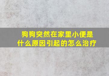 狗狗突然在家里小便是什么原因引起的怎么治疗