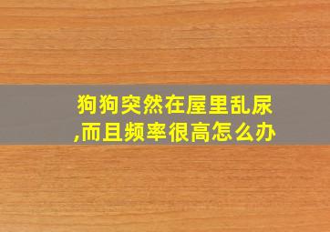 狗狗突然在屋里乱尿,而且频率很高怎么办