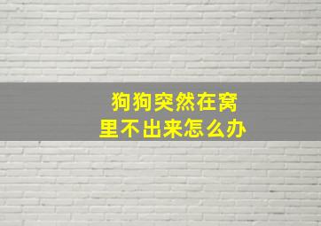 狗狗突然在窝里不出来怎么办