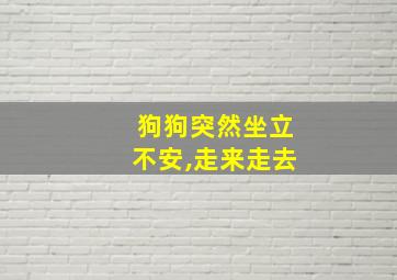 狗狗突然坐立不安,走来走去