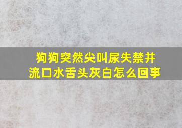 狗狗突然尖叫尿失禁并流口水舌头灰白怎么回事