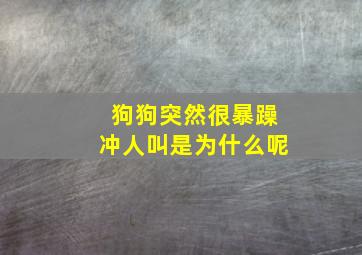 狗狗突然很暴躁冲人叫是为什么呢