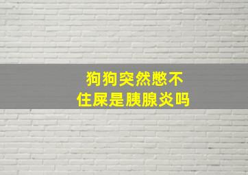 狗狗突然憋不住屎是胰腺炎吗