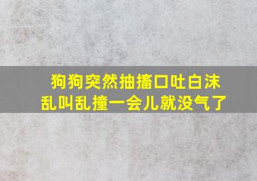 狗狗突然抽搐口吐白沫乱叫乱撞一会儿就没气了