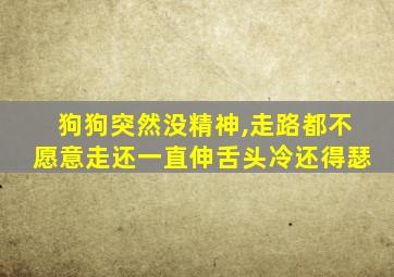 狗狗突然没精神,走路都不愿意走还一直伸舌头冷还得瑟