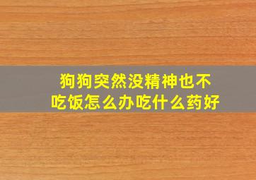 狗狗突然没精神也不吃饭怎么办吃什么药好