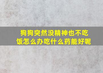 狗狗突然没精神也不吃饭怎么办吃什么药能好呢