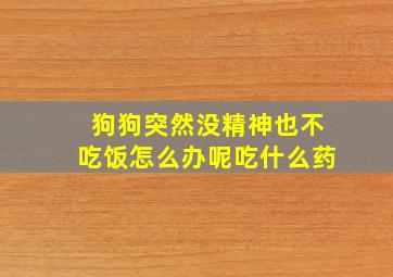 狗狗突然没精神也不吃饭怎么办呢吃什么药