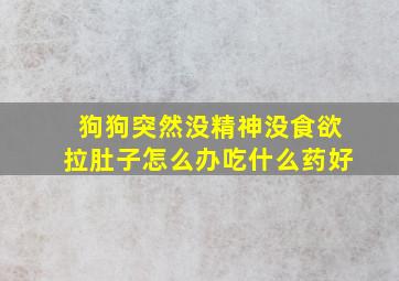 狗狗突然没精神没食欲拉肚子怎么办吃什么药好