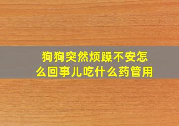 狗狗突然烦躁不安怎么回事儿吃什么药管用