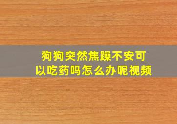 狗狗突然焦躁不安可以吃药吗怎么办呢视频