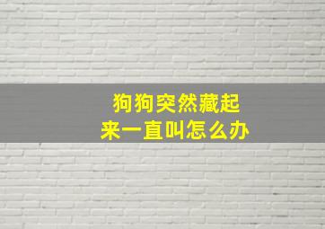 狗狗突然藏起来一直叫怎么办