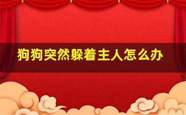 狗狗突然躲着主人怎么办