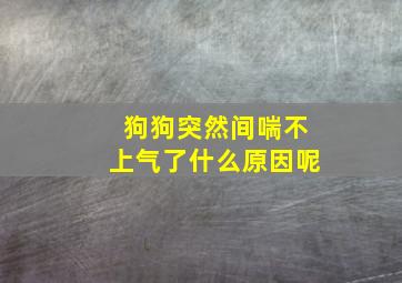 狗狗突然间喘不上气了什么原因呢