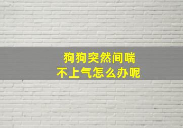 狗狗突然间喘不上气怎么办呢