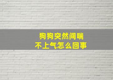 狗狗突然间喘不上气怎么回事