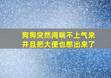 狗狗突然间喘不上气来并且把大便也憋出来了