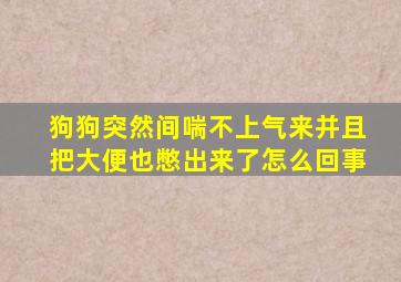 狗狗突然间喘不上气来并且把大便也憋出来了怎么回事