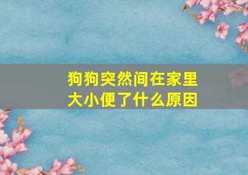 狗狗突然间在家里大小便了什么原因