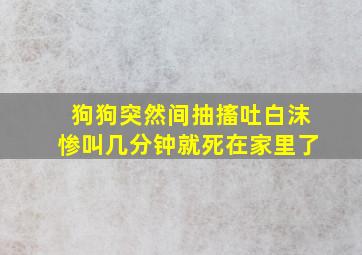 狗狗突然间抽搐吐白沫惨叫几分钟就死在家里了