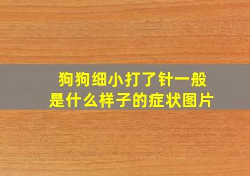 狗狗细小打了针一般是什么样子的症状图片