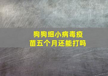 狗狗细小病毒疫苗五个月还能打吗