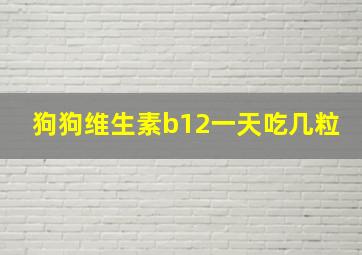 狗狗维生素b12一天吃几粒