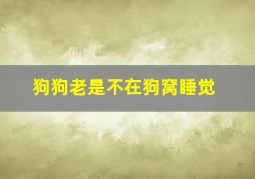 狗狗老是不在狗窝睡觉