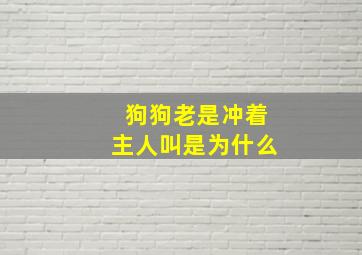 狗狗老是冲着主人叫是为什么