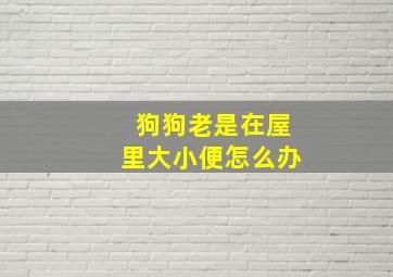 狗狗老是在屋里大小便怎么办