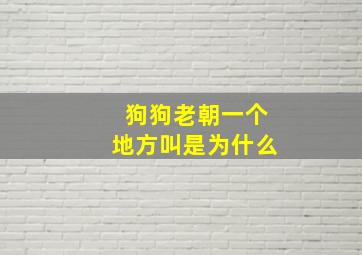 狗狗老朝一个地方叫是为什么