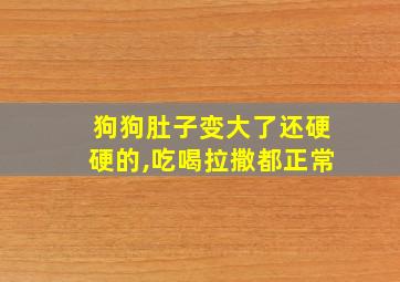 狗狗肚子变大了还硬硬的,吃喝拉撒都正常