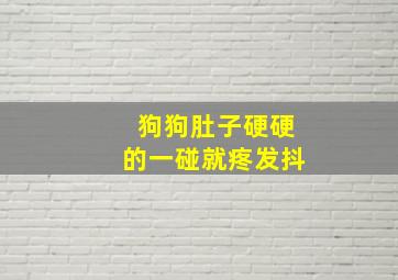 狗狗肚子硬硬的一碰就疼发抖