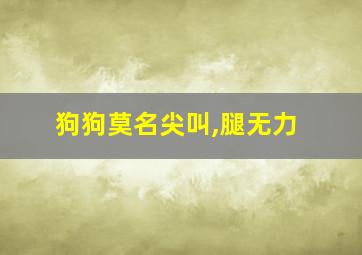 狗狗莫名尖叫,腿无力