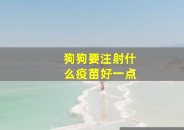 狗狗要注射什么疫苗好一点