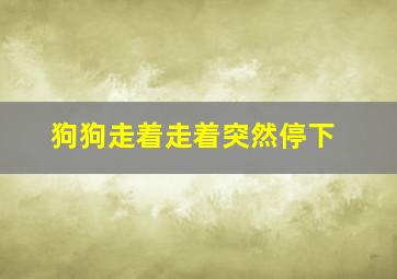 狗狗走着走着突然停下