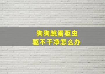 狗狗跳蚤驱虫驱不干净怎么办