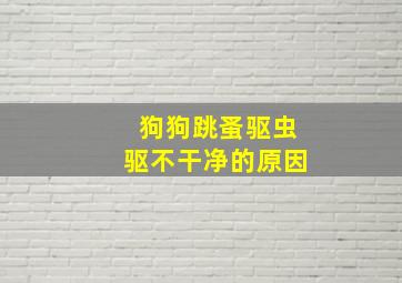 狗狗跳蚤驱虫驱不干净的原因