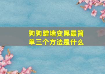 狗狗蹭墙变黑最简单三个方法是什么