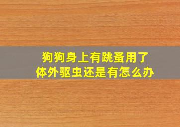 狗狗身上有跳蚤用了体外驱虫还是有怎么办