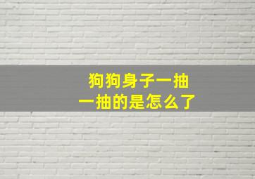 狗狗身子一抽一抽的是怎么了