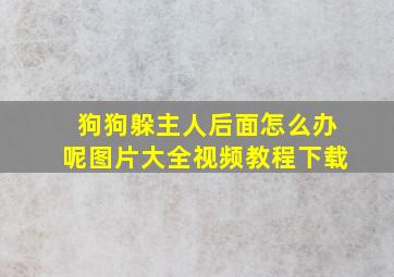 狗狗躲主人后面怎么办呢图片大全视频教程下载