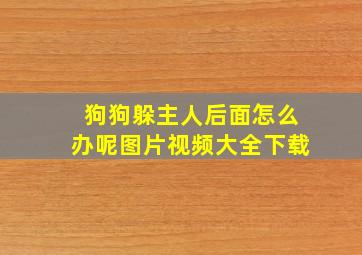 狗狗躲主人后面怎么办呢图片视频大全下载