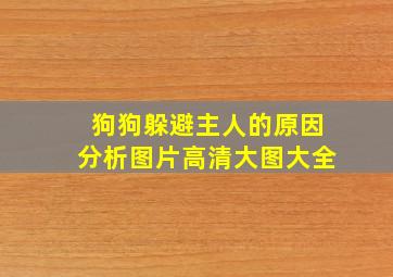 狗狗躲避主人的原因分析图片高清大图大全