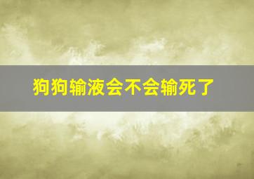 狗狗输液会不会输死了