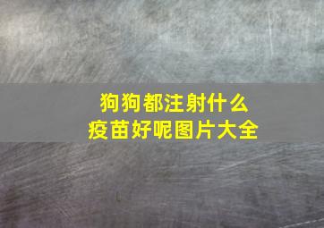 狗狗都注射什么疫苗好呢图片大全