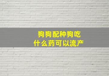 狗狗配种狗吃什么药可以流产