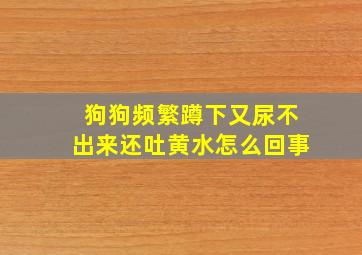 狗狗频繁蹲下又尿不出来还吐黄水怎么回事